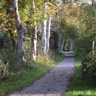 De natuur neemt prachtige kleuren aan, de herfst is begonnen